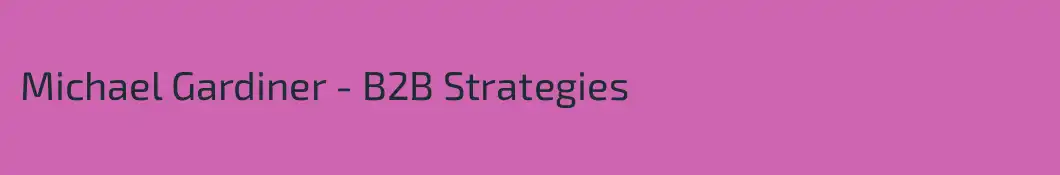 Michael Gardiner - B2B Strategies 